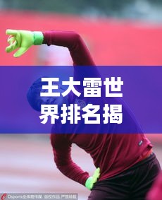 王大雷世界排名揭秘，中国足球的荣耀瞬间