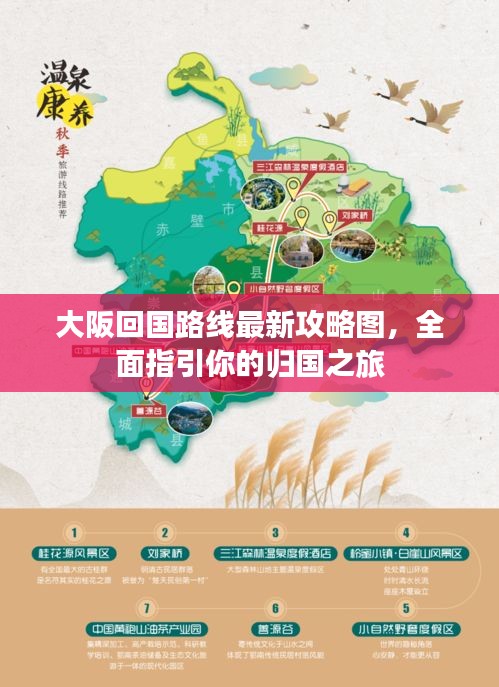 大阪回国路线最新攻略图，全面指引你的归国之旅