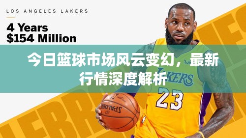 今日篮球市场风云变幻，最新行情深度解析