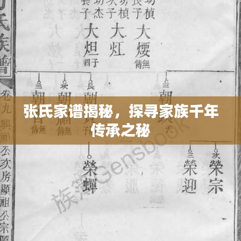 张氏家谱揭秘，探寻家族千年传承之秘