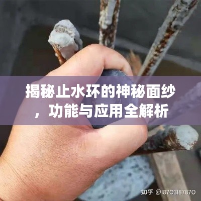 揭秘止水环的神秘面纱，功能与应用全解析