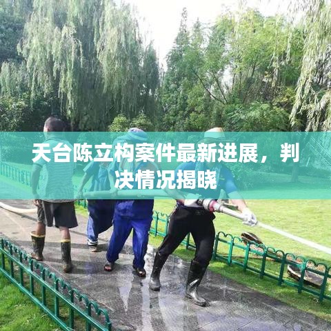 天台陈立构案件最新进展，判决情况揭晓