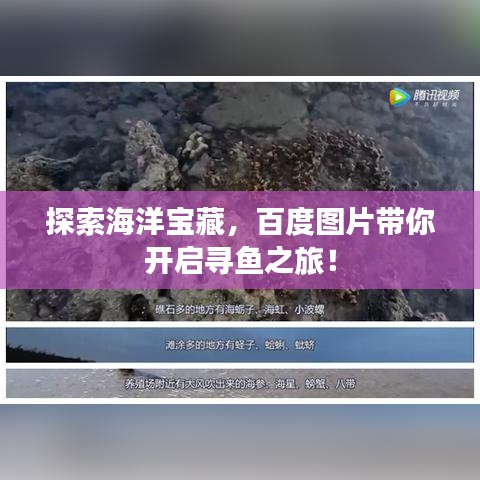 探索海洋宝藏，百度图片带你开启寻鱼之旅！