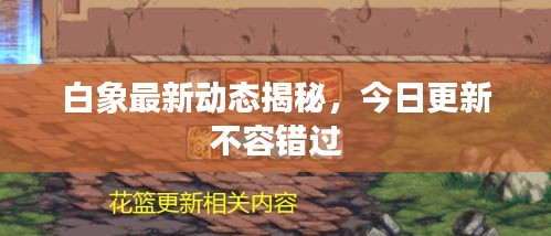 白象最新动态揭秘，今日更新不容错过