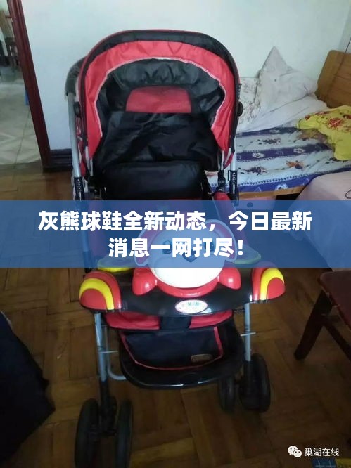 灰熊球鞋全新动态，今日最新消息一网打尽！