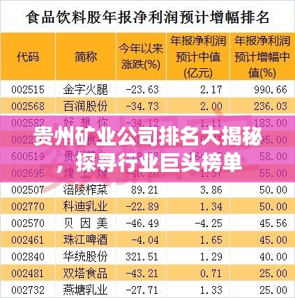 贵州矿业公司排名大揭秘，探寻行业巨头榜单