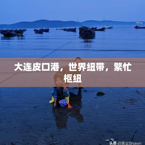 大连皮口港，世界纽带，繁忙枢纽