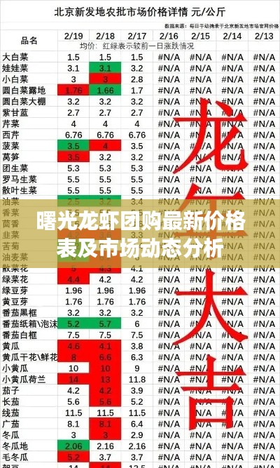 曙光龙虾团购最新价格表及市场动态分析
