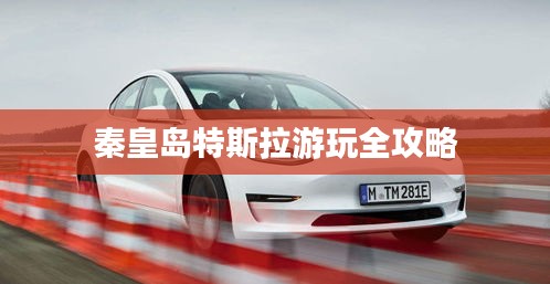 秦皇岛特斯拉游玩全攻略