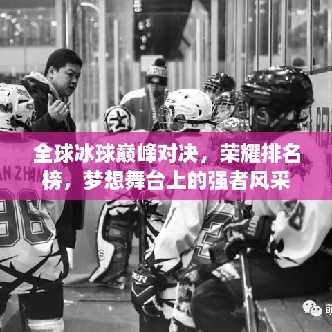 全球冰球巅峰对决，荣耀排名榜，梦想舞台上的强者风采