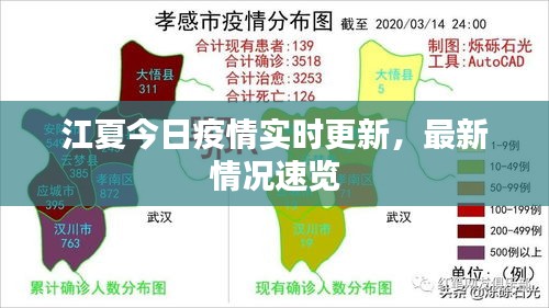 江夏今日疫情实时更新，最新情况速览