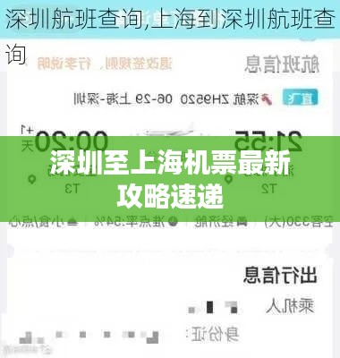 深圳至上海机票最新攻略速递