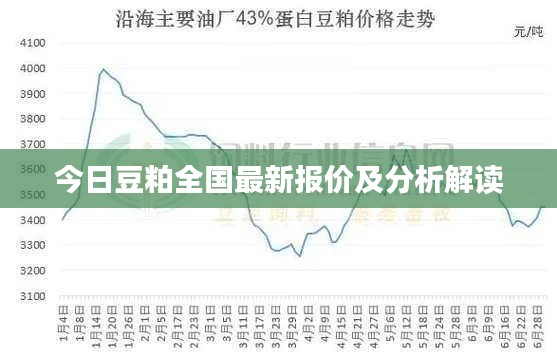 今日豆粕全国最新报价及分析解读