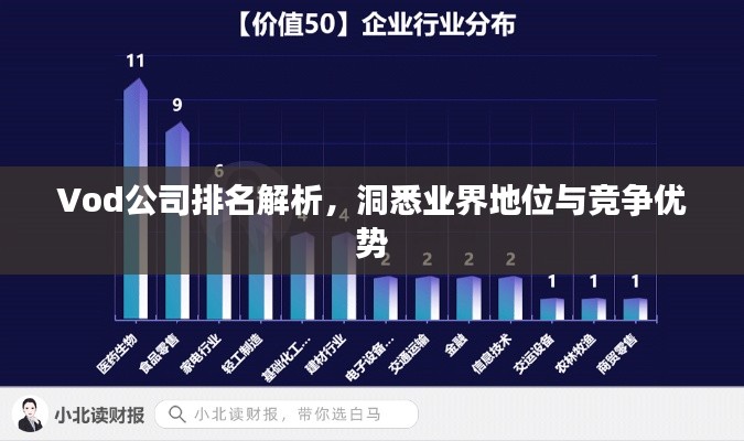 Vod公司排名解析，洞悉业界地位与竞争优势