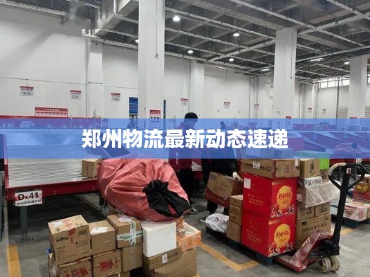 郑州物流最新动态速递