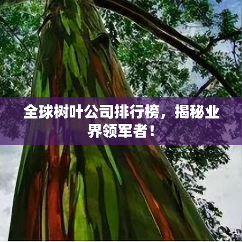 全球树叶公司排行榜，揭秘业界领军者！