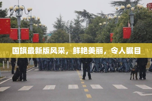 国旗最新版风采，鲜艳美丽，令人瞩目