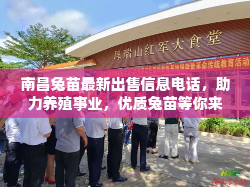 南昌兔苗最新出售信息电话，助力养殖事业，优质兔苗等你来选！