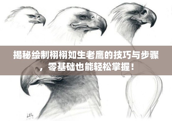 揭秘绘制栩栩如生老鹰的技巧与步骤，零基础也能轻松掌握！