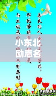 小东北励志名言，激发无限潜能的短句