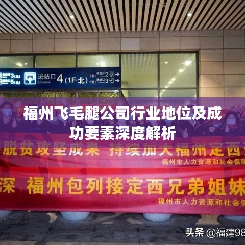 福州飞毛腿公司行业地位及成功要素深度解析
