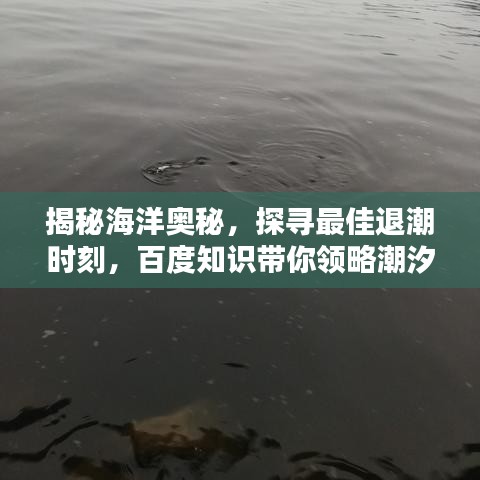 揭秘海洋奥秘，探寻最佳退潮时刻，百度知识带你领略潮汐魅力