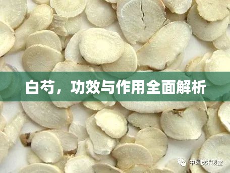 白芍，功效与作用全面解析