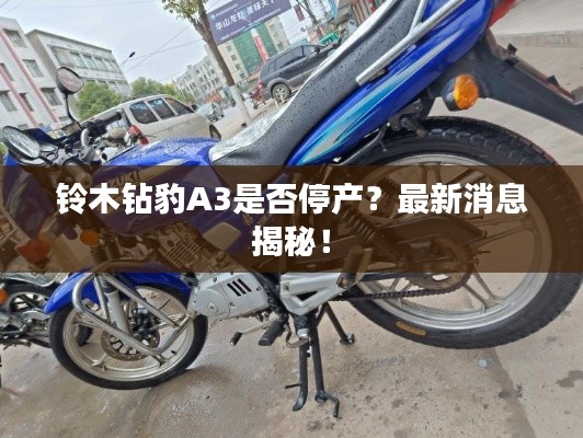 铃木钻豹A3是否停产？最新消息揭秘！