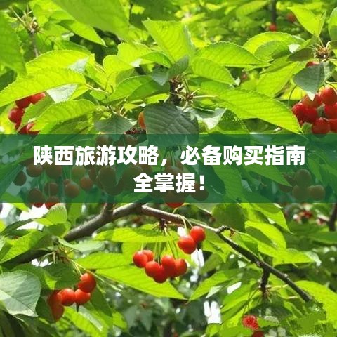 陕西旅游攻略，必备购买指南全掌握！