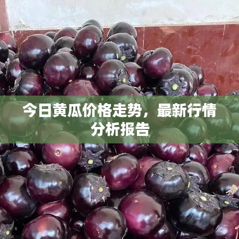 今日黄瓜价格走势，最新行情分析报告