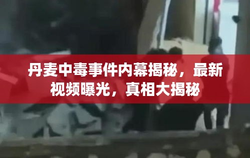 丹麦中毒事件内幕揭秘，最新视频曝光，真相大揭秘