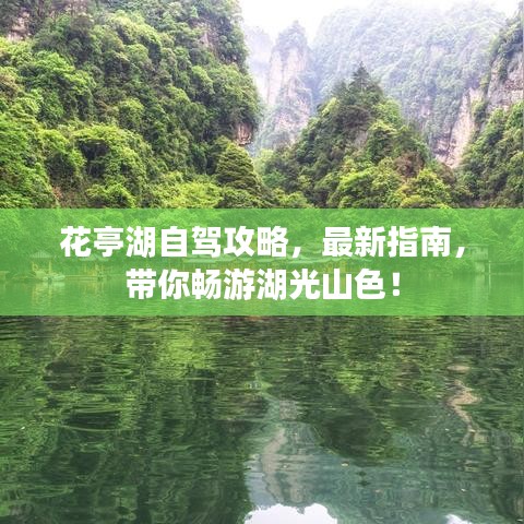 鸢飞鱼跃