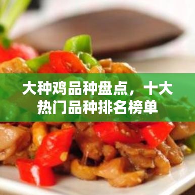大种鸡品种盘点，十大热门品种排名榜单