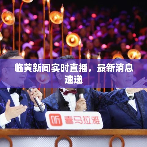临黄新闻实时直播，最新消息速递