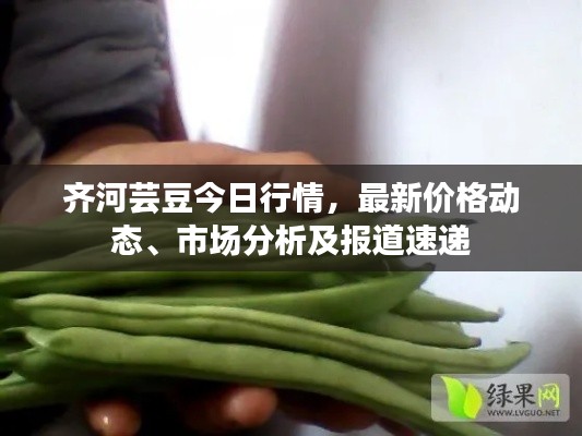 齐河芸豆今日行情，最新价格动态、市场分析及报道速递