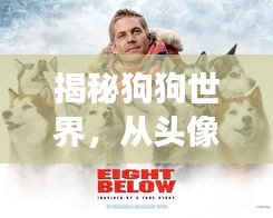 揭秘狗狗世界，从头像图片开启的奇妙探险之旅