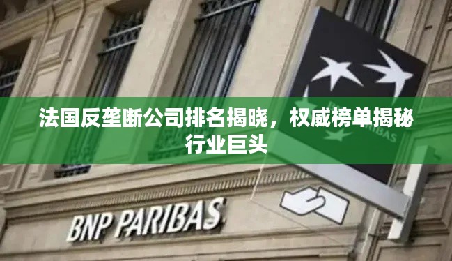 法国反垄断公司排名揭晓，权威榜单揭秘行业巨头