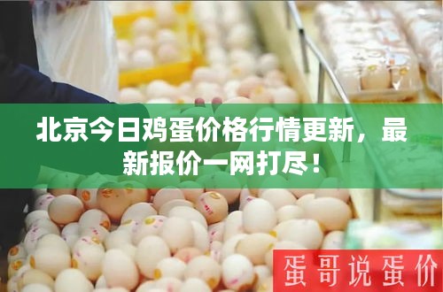 北京今日鸡蛋价格行情更新，最新报价一网打尽！