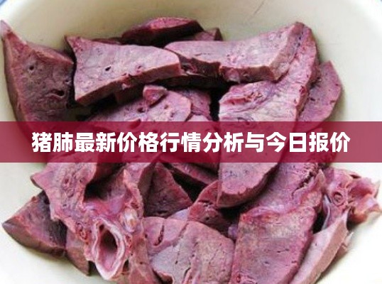 猪肺最新价格行情分析与今日报价