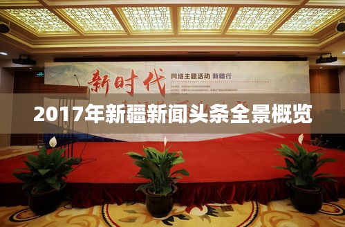 2017年新疆新闻头条全景概览