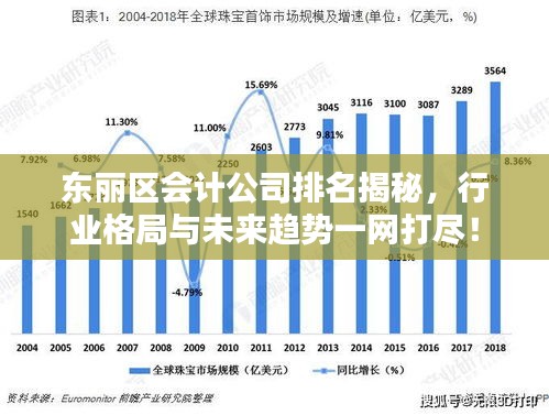 东丽区会计公司排名揭秘，行业格局与未来趋势一网打尽！