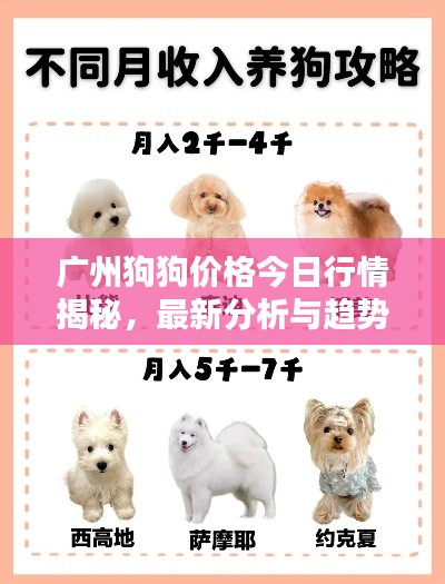 广州狗狗价格今日行情揭秘，最新分析与趋势预测