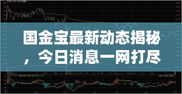国金宝最新动态揭秘，今日消息一网打尽
