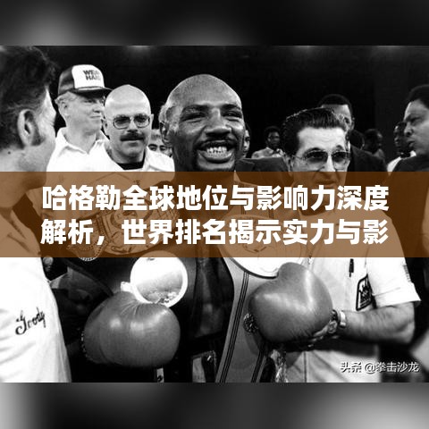 哈格勒全球地位与影响力深度解析，世界排名揭示实力与影响力