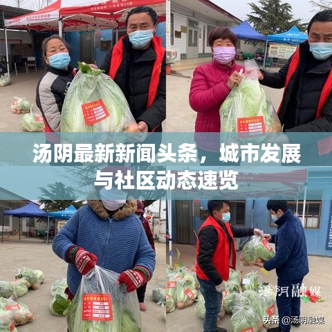 汤阴最新新闻头条，城市发展与社区动态速览