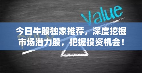 今日牛股独家推荐，深度挖掘市场潜力股，把握投资机会！
