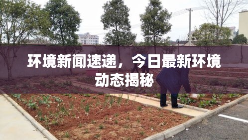 环境新闻速递，今日最新环境动态揭秘