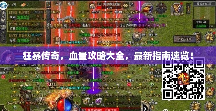 狂暴传奇，血量攻略大全，最新指南速览！