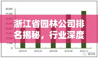 浙江省园林公司排名揭秘，行业深度分析与评估