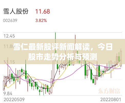 伤弓之鸟